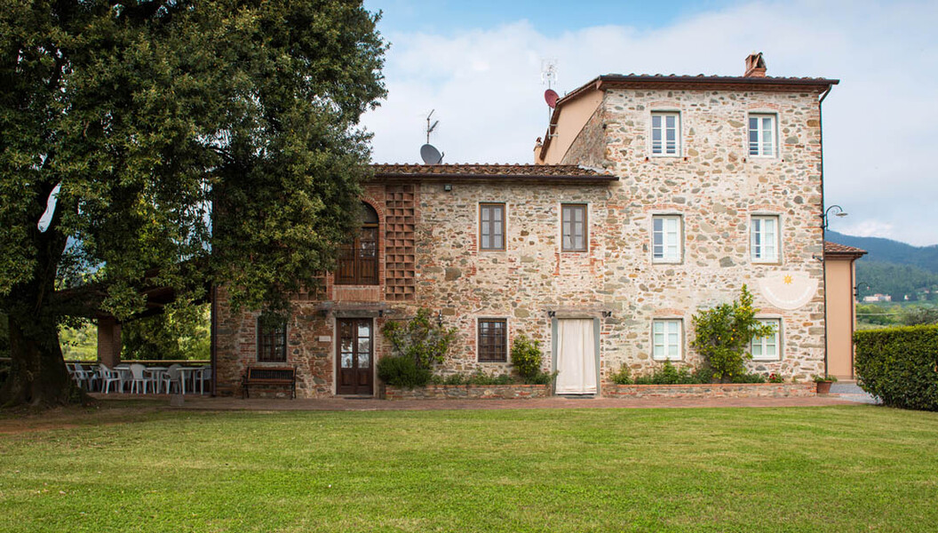 Ferienhaus Casa Tonio in der Toskana mit grossem Baum und Rasen
