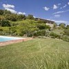 Garten mit Rasen und privatem Pool im Ferienhaus Centolivi in der Toskana
