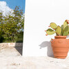033lamia for rent ostuni lamia alta  (5)