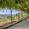 la sorgente 043