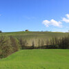 casale manganina 8