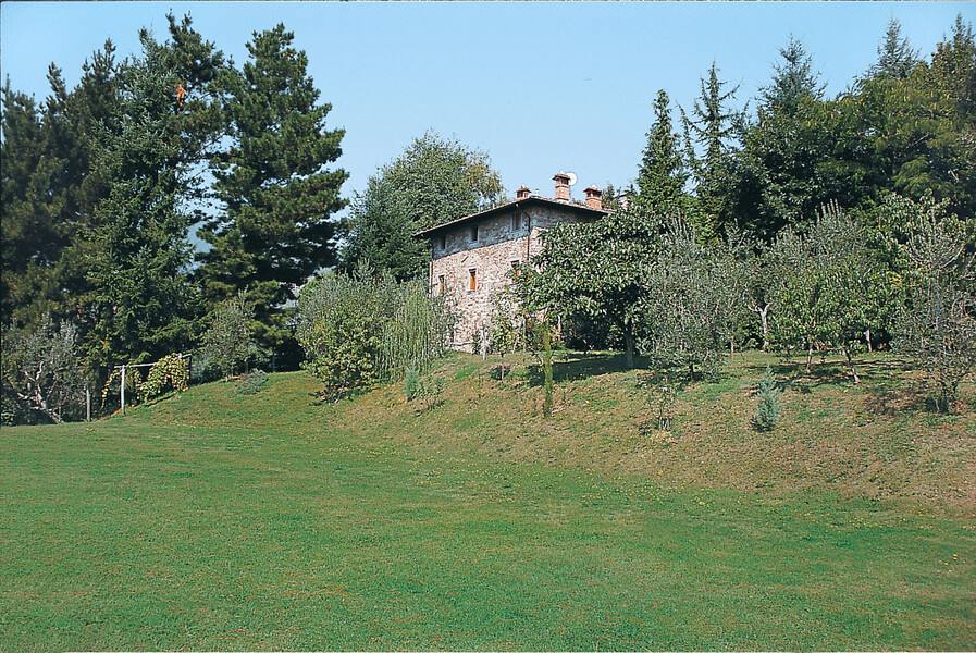 franello 001
