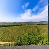 Negrar Verona-and-Valpolicella Veneto-and-Venice Dolci Colline gallery 008 1643698696