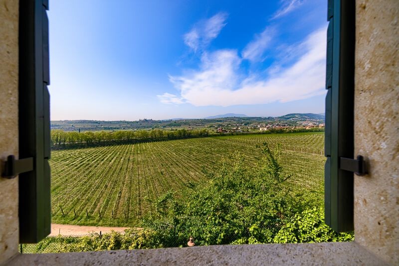 Negrar Verona-and-Valpolicella Veneto-and-Venice Dolci Colline gallery 008 1643698696