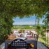 Terra Quercus 1