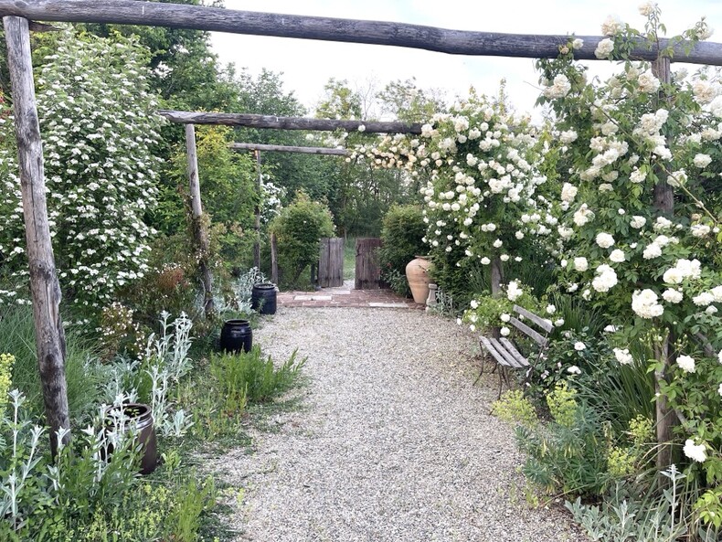 cascina monferrato rosen