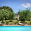Pool mit Sonnenliegen und Olivenbäumen und Ferienhaus Casa Tonio bei Lucca