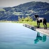 Ferienhaus mit Hund und privatem Pool in Italien