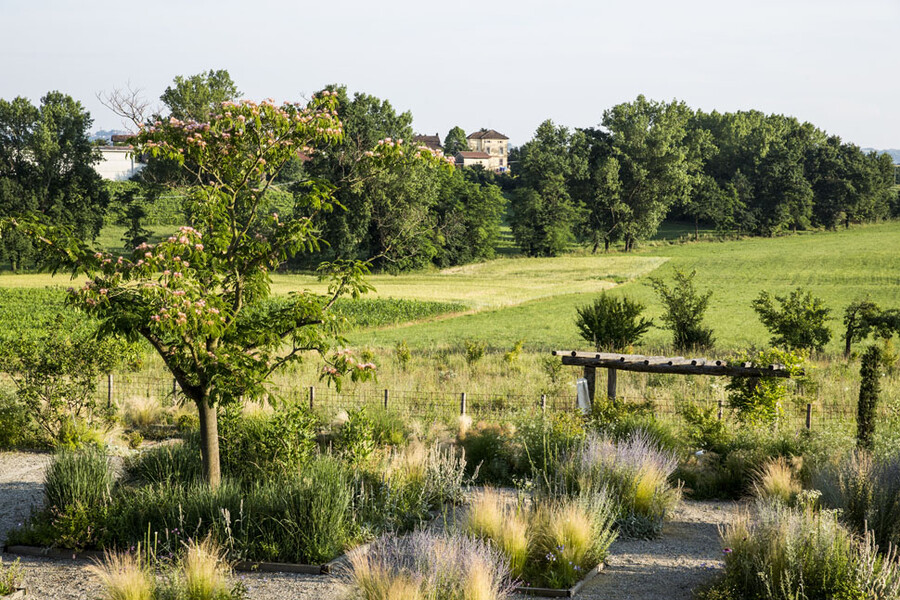 Blick auf die grünen Felder und den Garten in der Cascina Monferrato