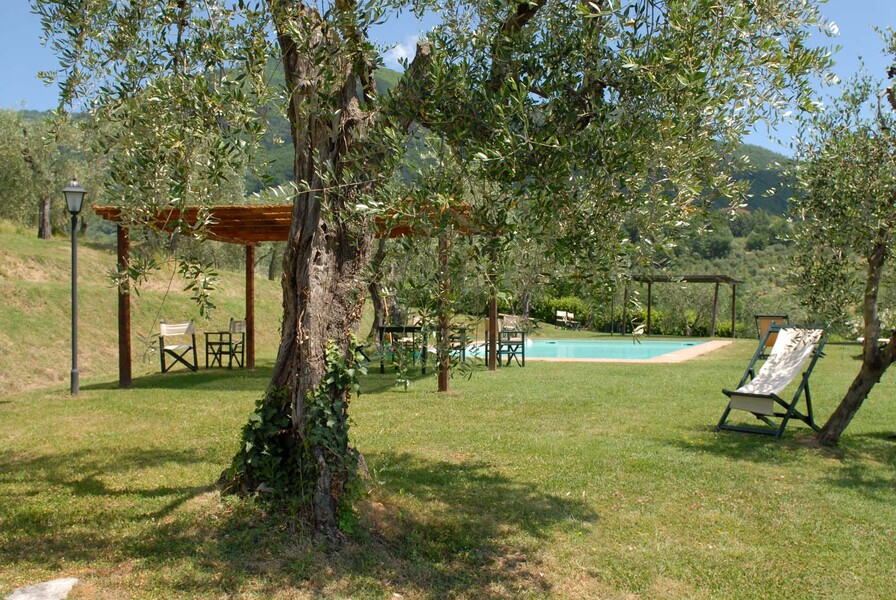 Ziehen Sie im wunderschönen Pool des Le Casine Ihre Runden und lassen Sie Ihren Blick in die herrliche Landschaft der Toskana schweifen