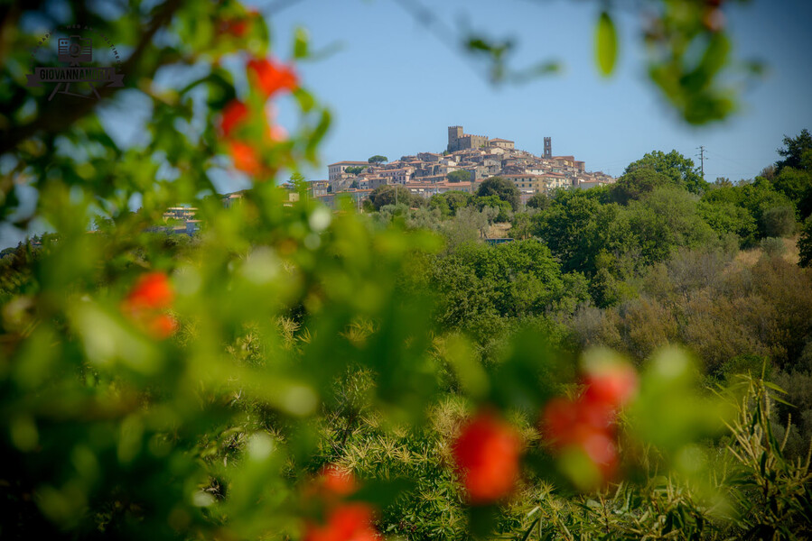 il lupinaio 029