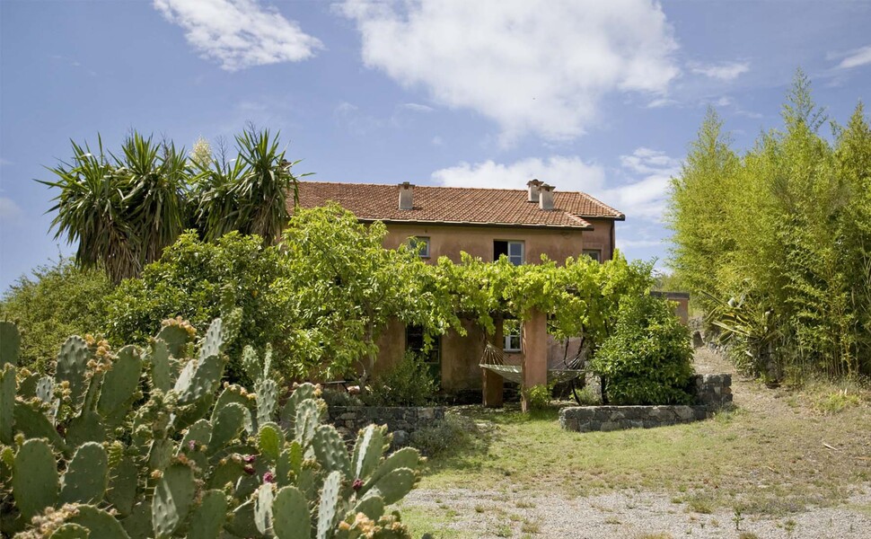 Überwachsene Pergola des Ferienhauses in Ligurien bei Levanto