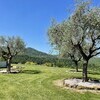 Photo 30.04.25, 11 54 28