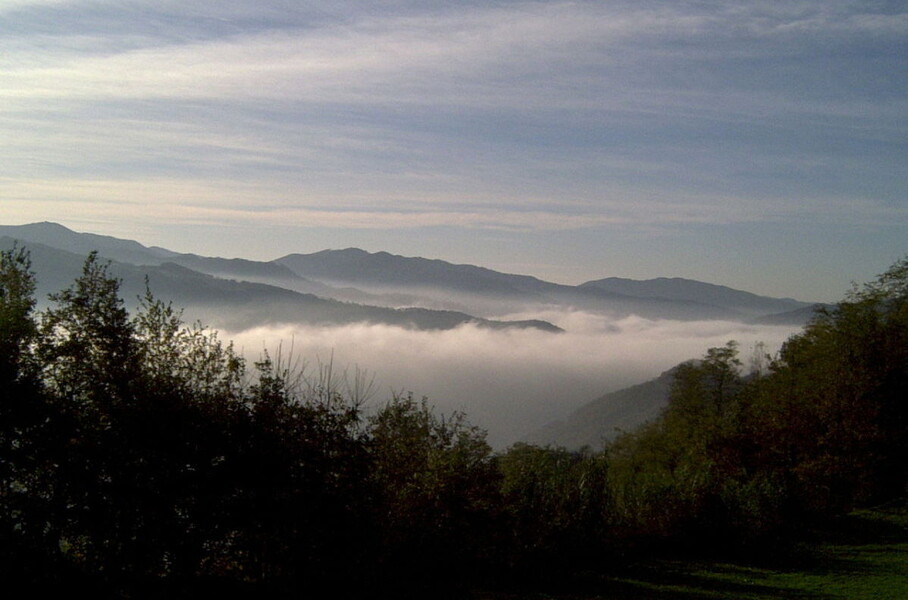 cascina delle langhe 10g