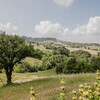 Natur in Italien in der Casa Sorbolongo