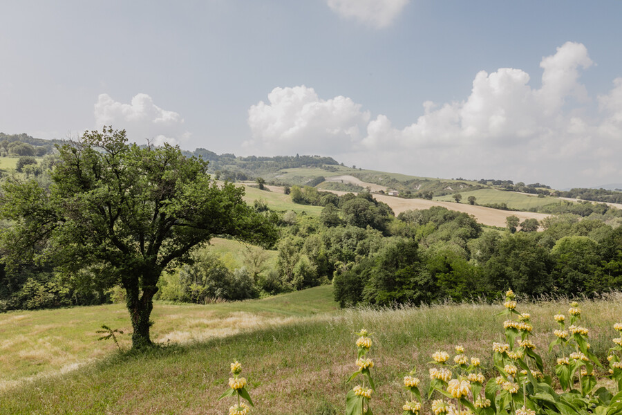 Natur in Italien in der Casa Sorbolongo