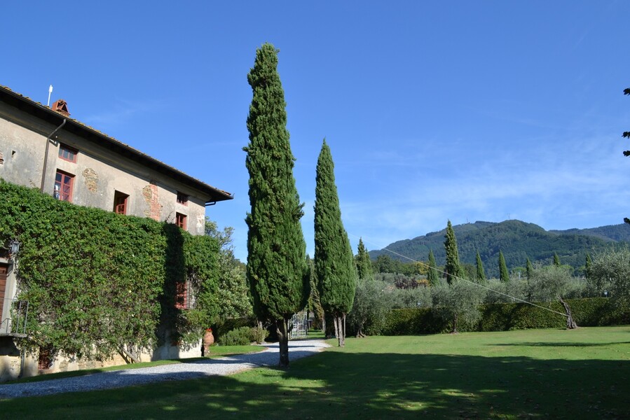 Historische Villa Buonvisi in Lucca mit Zypressen