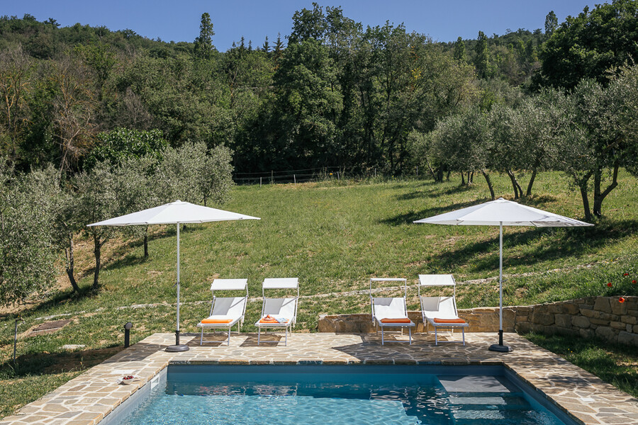 Privater Pool mit Salzwasser und Olivenbäumen in der Casa Campori in Umbrien