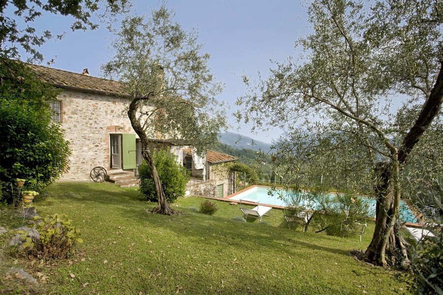 Garten mit Olivenbäumen und Pool im Ferienhaus casa fiora bei Lucca