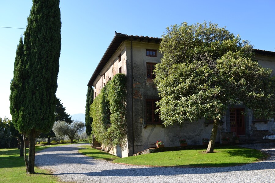 Villa mit Zypresse in Lucca Buonvisi in der Toskana