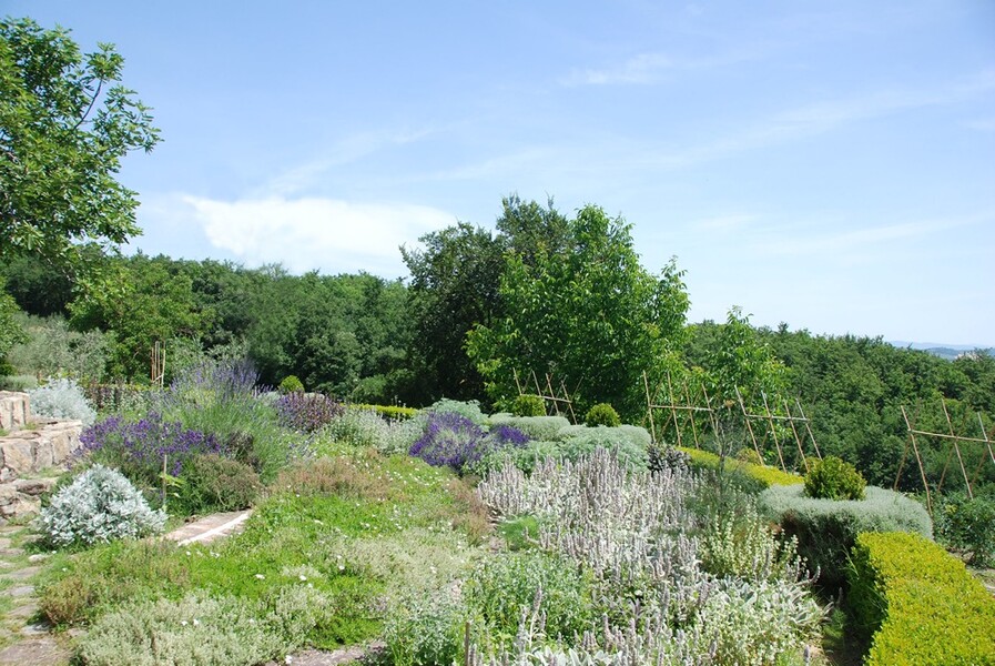 Ein Kräutergarten steht allen Gästen der Villa Le Porciglia zur freien Nutzung zur Verfügung