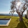Pool zur Alleinnutzung mit Olivenbaum und Blick über die Hügel in Mittelitalien
