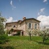 Ferienhaus in Umbrien inmitten eines Olivenhains