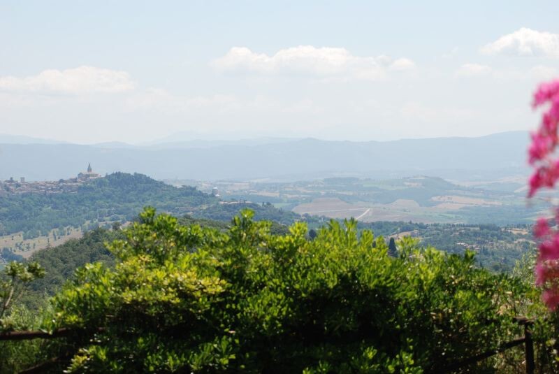 Todi Umbrisches-Land Umbrien Casale Rose Garden gallery 026