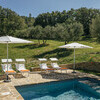 Private pool in the middle of the olive trees in Umbria