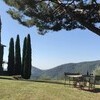 Gemütlicher kleiner Sitzbereich unter einem Baum im Garten der Ferienvilla Die Küche mit Essbereich mit Platz für 6 Personen in der Ferienvilla Compignano Barn