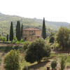 Das Ferienhaus La Maccinaia liegt idyllisch in den Hügeln der Toskana