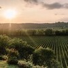 Negrar Verona-and-Valpolicella Veneto-and-Venice Dolci Colline gallery 006 1643698696