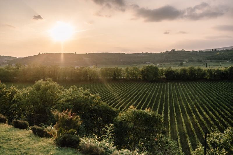 Negrar Verona-and-Valpolicella Veneto-and-Venice Dolci Colline gallery 006 1643698696