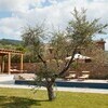 Ferienhaus mit privatem Pool Casa Il Sogno in Italien