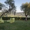 Garten mit Olivenbäumen im Ferienhaus Arco in Italien