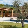 Pool zu Alleinnutzung mit Olivenbaum im Ferienhaus in Italien