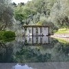 Private and modern pool in the holiday villa Macennere in Lucca