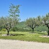 Photo 30.04.25, 12 03 59