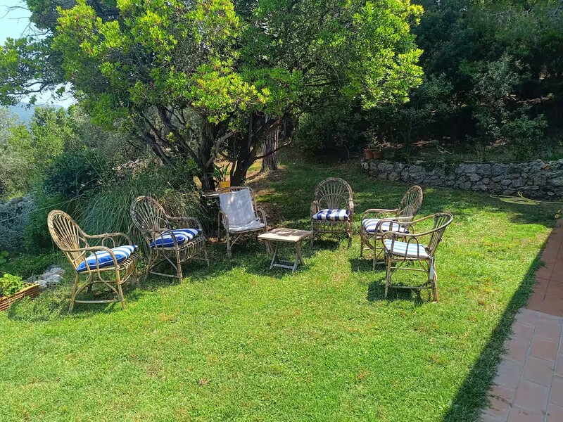 54fffc3e-c93b-4d73-bc94-299d62041911.