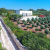 088 lamia alta ostuni puglia drone